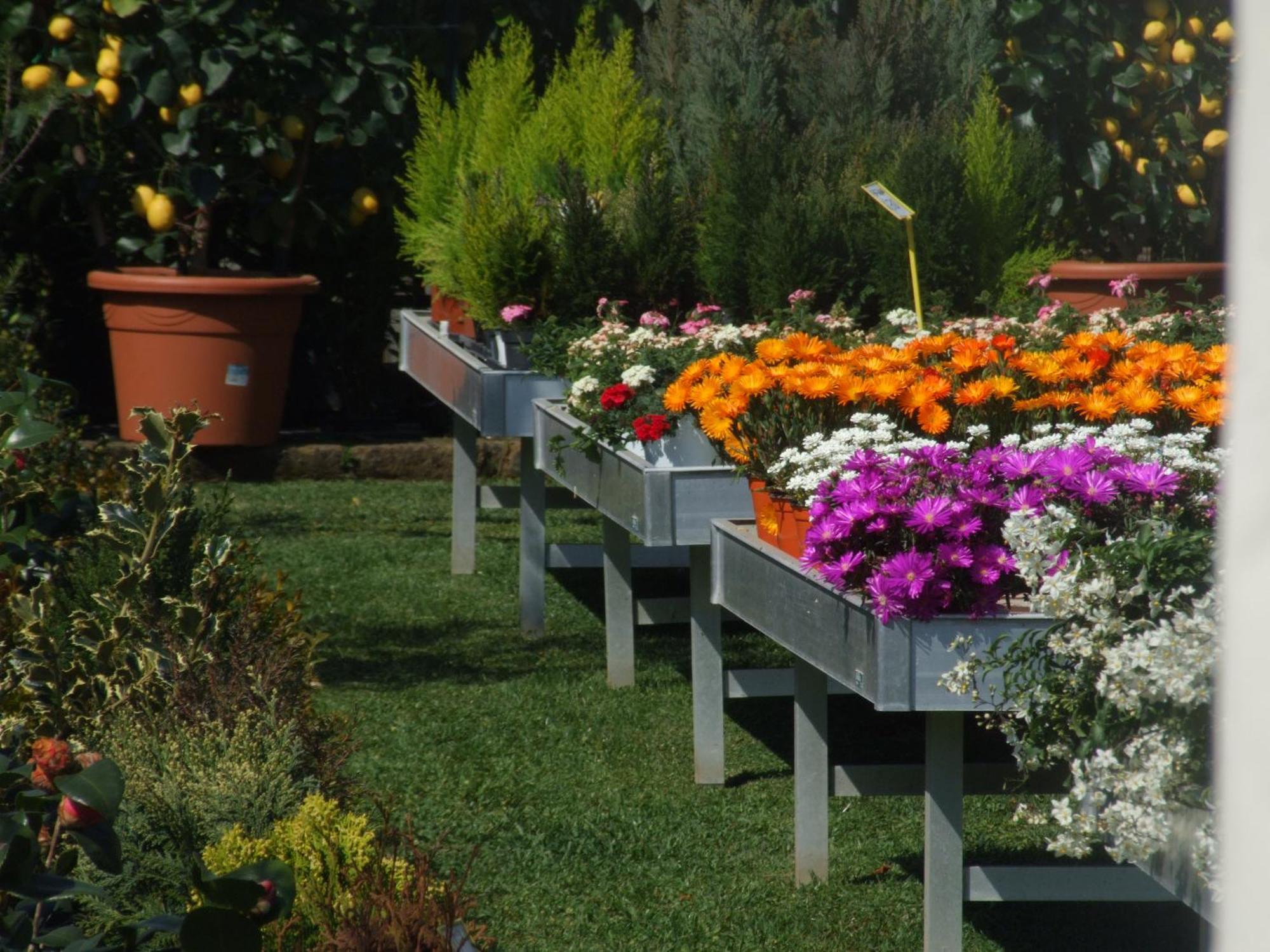 Residenza I Ciclamini Bed & Breakfast Roma Dış mekan fotoğraf