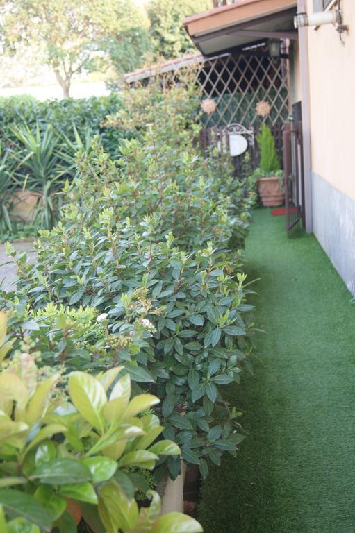 Residenza I Ciclamini Bed & Breakfast Roma Dış mekan fotoğraf